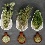 Assorted herbs in dishes to support lymphatic health.
