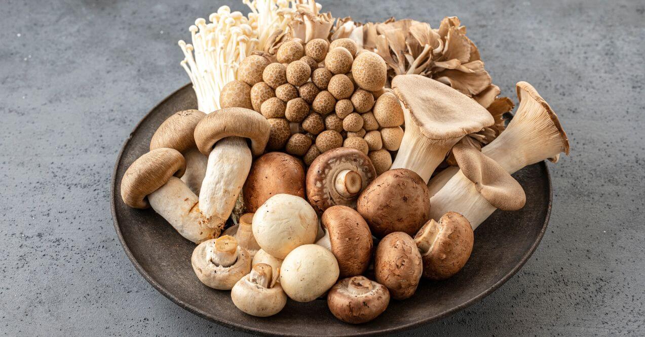 5 Best Mushrooms for Brain Health