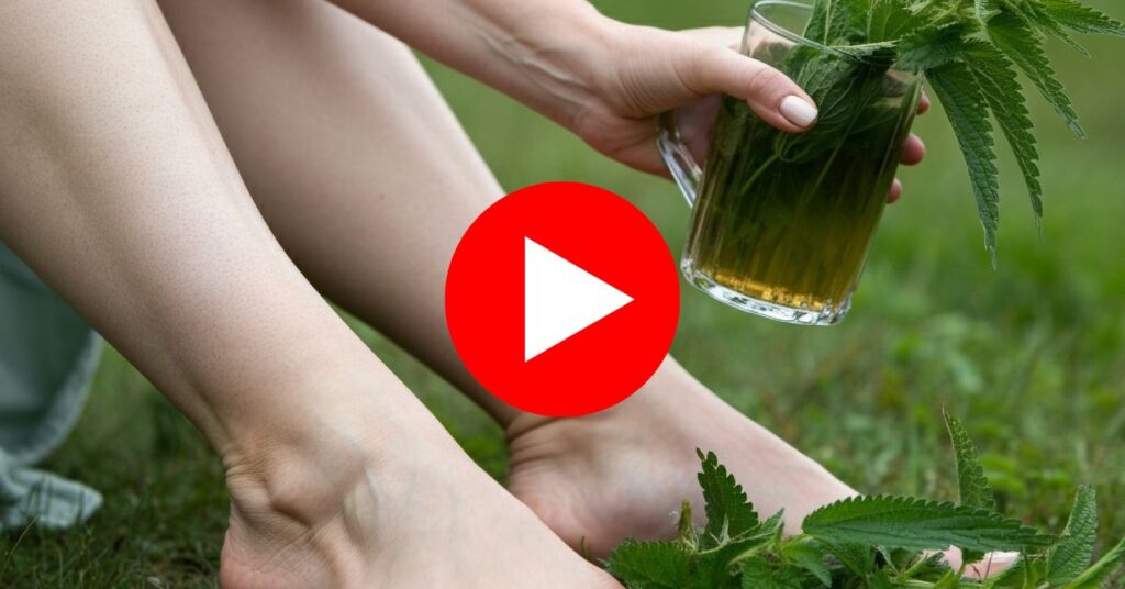 Woman holding a glass of herbal drink with fresh leaves.