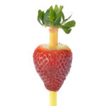 a strawberry with its stem removed is pierced through the center using a yellow straw.